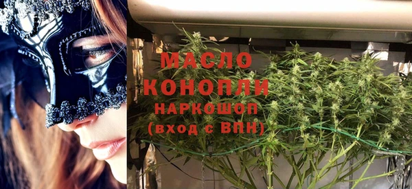 spice Богородицк