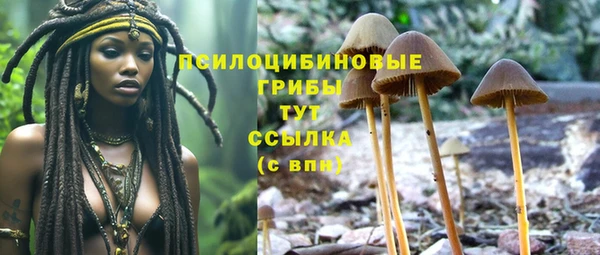 spice Богородицк