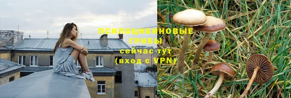 прущая мука Бронницы