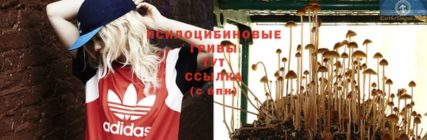 гидра Бугульма